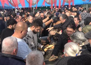 Festivalde 3 ton hamsi ikram edildi