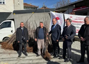 Altıparmak kiraz projesi fidan dağıtımı yapıldı