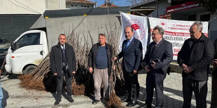 Altıparmak kiraz projesi fidan dağıtımı yapıldı