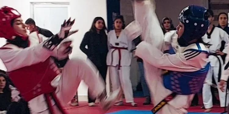 DBB tekvando sporcuları Diyarbakır’ı temsil edecek