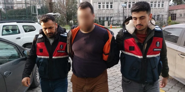 Jandarmadan DEAŞ operasyonu: 1 gözaltı
