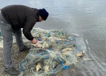 Alaca’da bin 700 kaçak ağ yakalandı