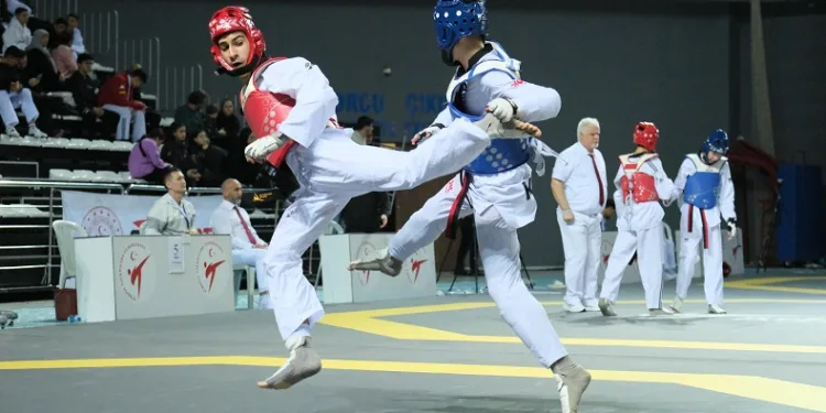 Türk sporculardan tekvandoda 24 madalya