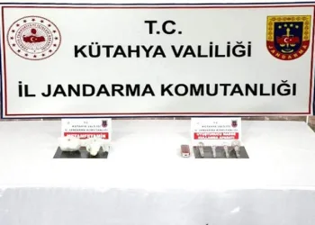 Uyuşturucu operasyonunda 2 kişi tutuklandı