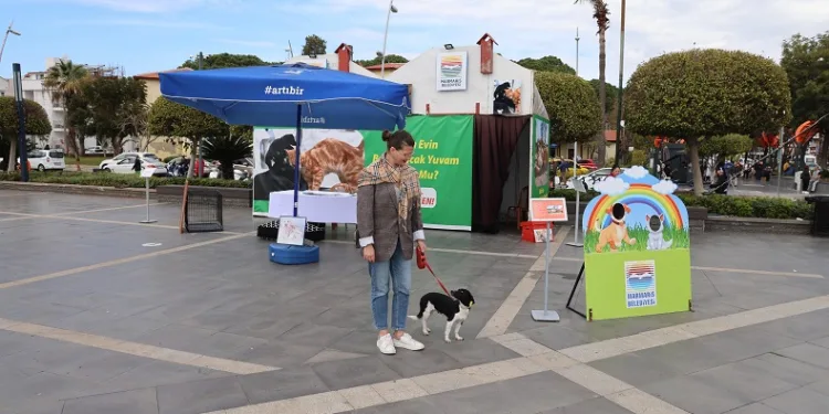 Marmaris’te “satın alma sahiplen” standı açıldı