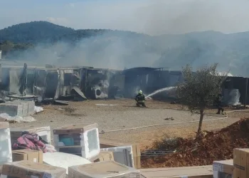 Konteynerler alev alev yandı