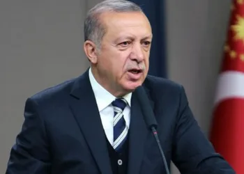 Erdoğan, Diplomasiye şans verin