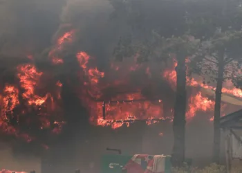 Şili’de orman yangını: 51 ölü