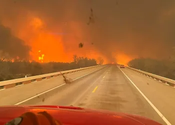 Texas’ta orman yangınları