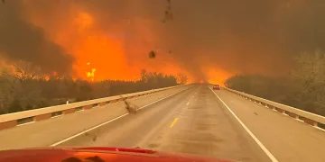 Texas’ta orman yangınları