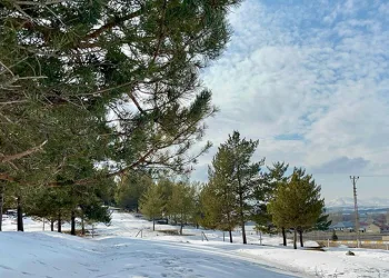Ağrı’da kartpostallık kar manzaraları