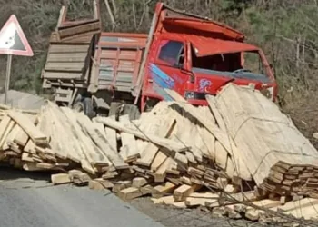 Kereste yüklü kamyonun freni patladı, sürücü yaralandı