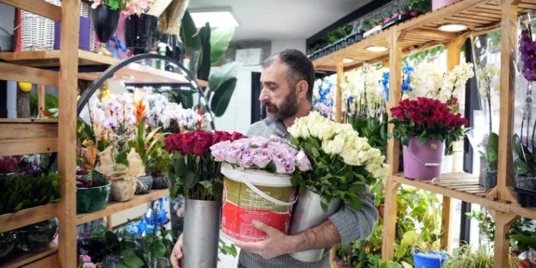 Bu yıl kar yüzü görmedi