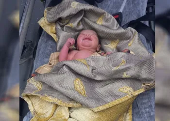 Cami avlusunda yeni doğmuş kız bebek bulundu