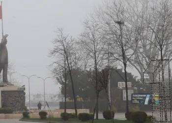 Yalova’da sis etkili oluyor