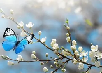 Hava sıcaklığı artmaya devam edecek