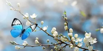 Hava sıcaklığı artmaya devam edecek