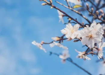 Hava sıcaklığı artmaya devam edecek