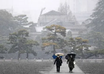 Japonya’da şiddetli kar: 160 yaralı