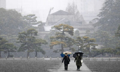 Japonya’da şiddetli kar: 160 yaralı