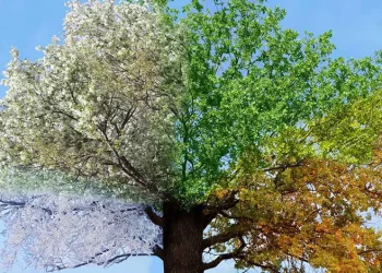 Mevsimsel farklılıklar ruh sağlığını bozuyor
