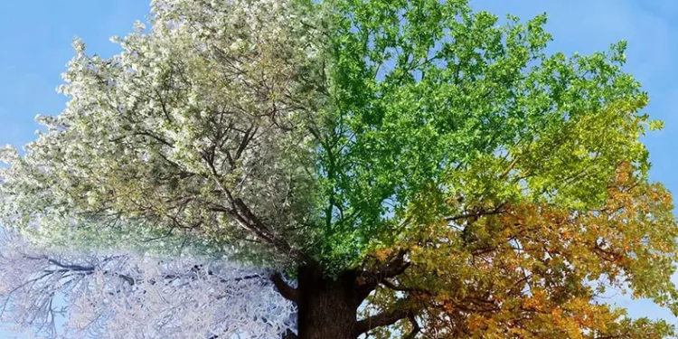 Mevsimsel farklılıklar ruh sağlığını bozuyor