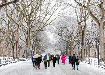 New York’ta yoğun kar yağışı