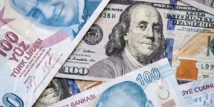 Ödemelerde TL zorunluluğu kaldırıldı