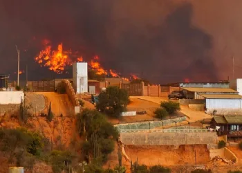 Şili’de orman yangını: 19 ölü