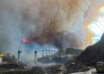 Çin’de orman yangını