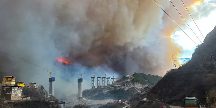 Çin’de orman yangını