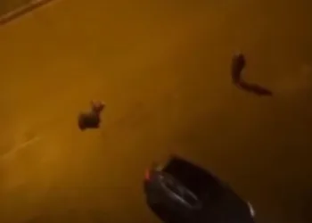 Batman’da cinayet: 2 ölü