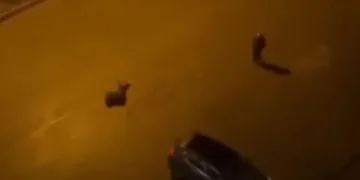 Batman’da cinayet: 2 ölü