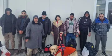 Edirne’de 8 düzensiz göçmen yakalandı