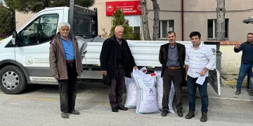 Yüzde 50 hibeli destek ile Han’da nohut üretimi artıyor