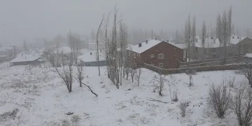 Başkale’de kar yağışı etkili oldu