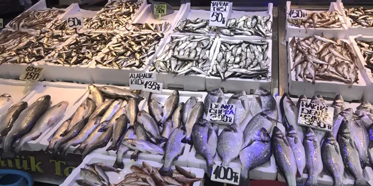 Balık çok alan yok