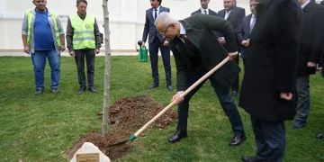 Bakan Uraloğlu Bilecik’te çınar fidanı dikti