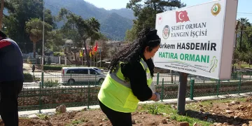 Marmaris’te binlerce fidan toprakla buluştu