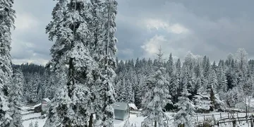 Düzce’nin yüksek tepeleri beyaza büründü