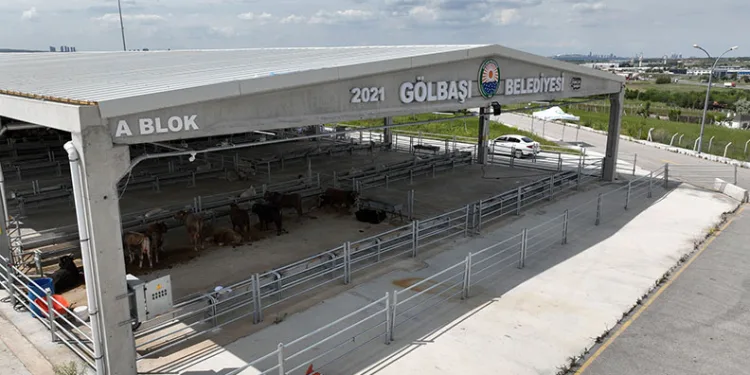 Gölbaşı’nda canlı hayvan pazarı ve borsası kuruluyor