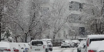 Bingöl merkez ve ilçelerinde mart sonunda kar sürprizi