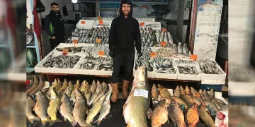 82 kiloluk turna balığı yakalandı