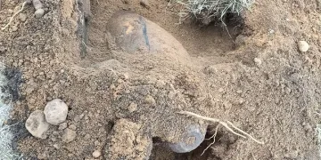 Polonya’da 300 kilo iki bomba bulundu