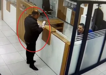 Sazan sarmalı çetesi çökertildi