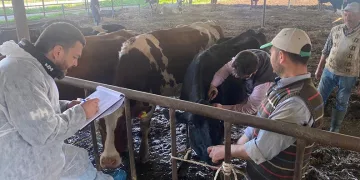 Koçarlı’da hayvan çiftlikleri kontrol altında