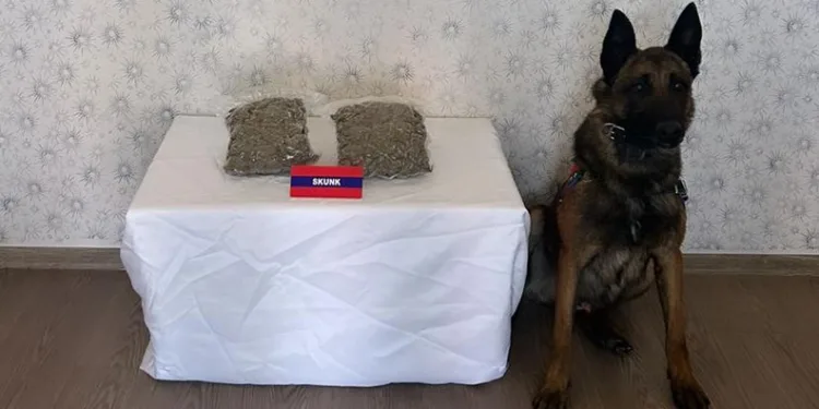 Uyuşturucu ile yolcu otobüsüne bindi, jandarma enseledi