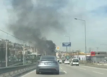Bursa’da korkutan ot yangını