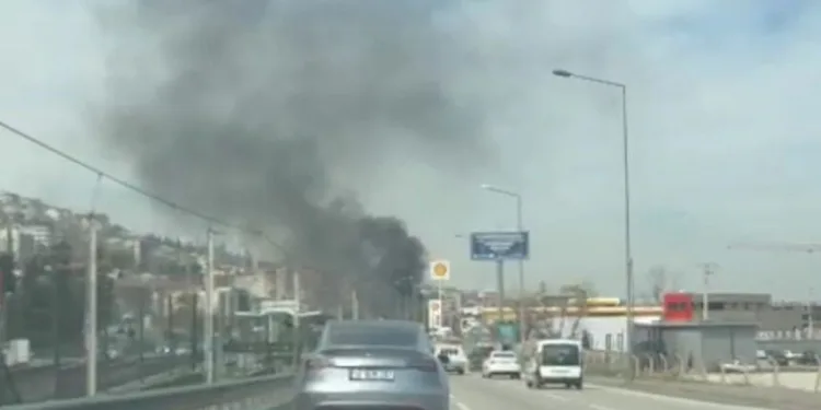 Bursa’da korkutan ot yangını