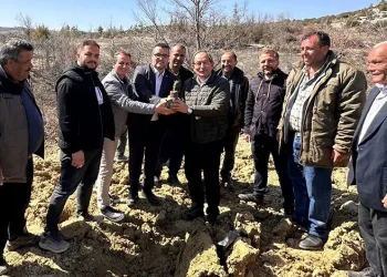 Biberiye fidanları toprakla buluşturuldu